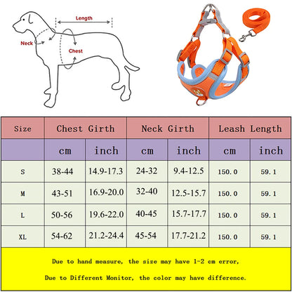 Dog Leash And Harness Set