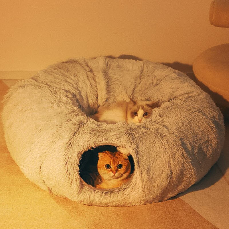 Cat Beds House