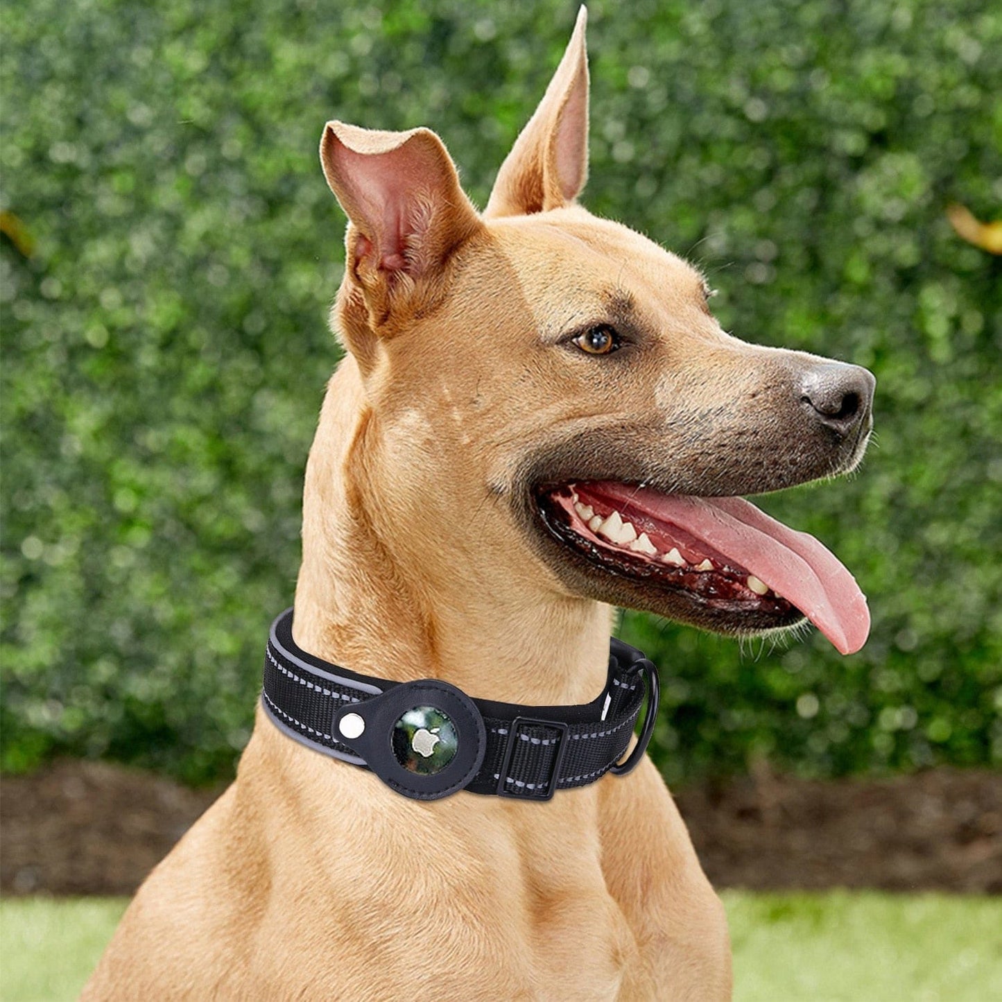 Airtag Dog Collar