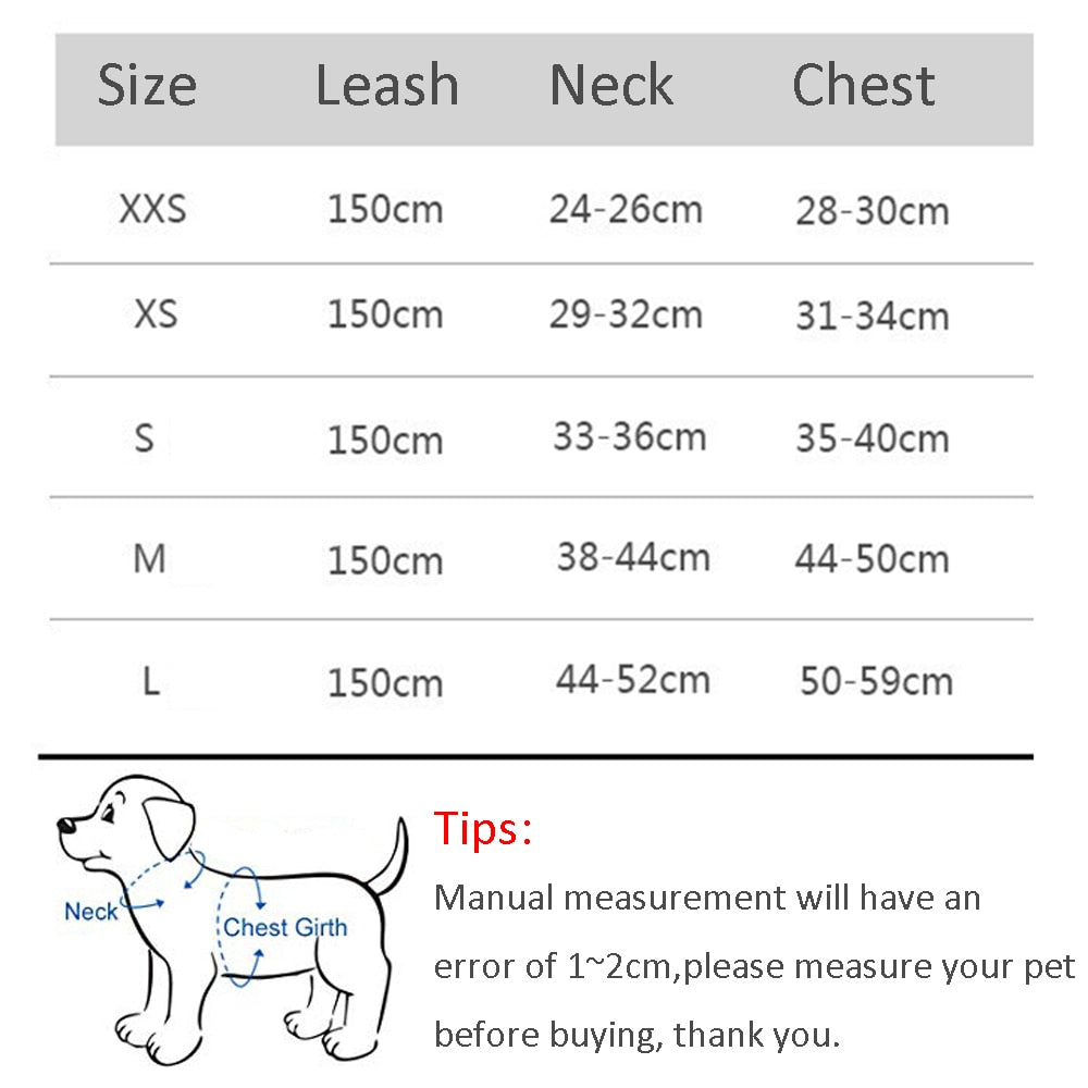 Harness Leash Set for Small Dogs